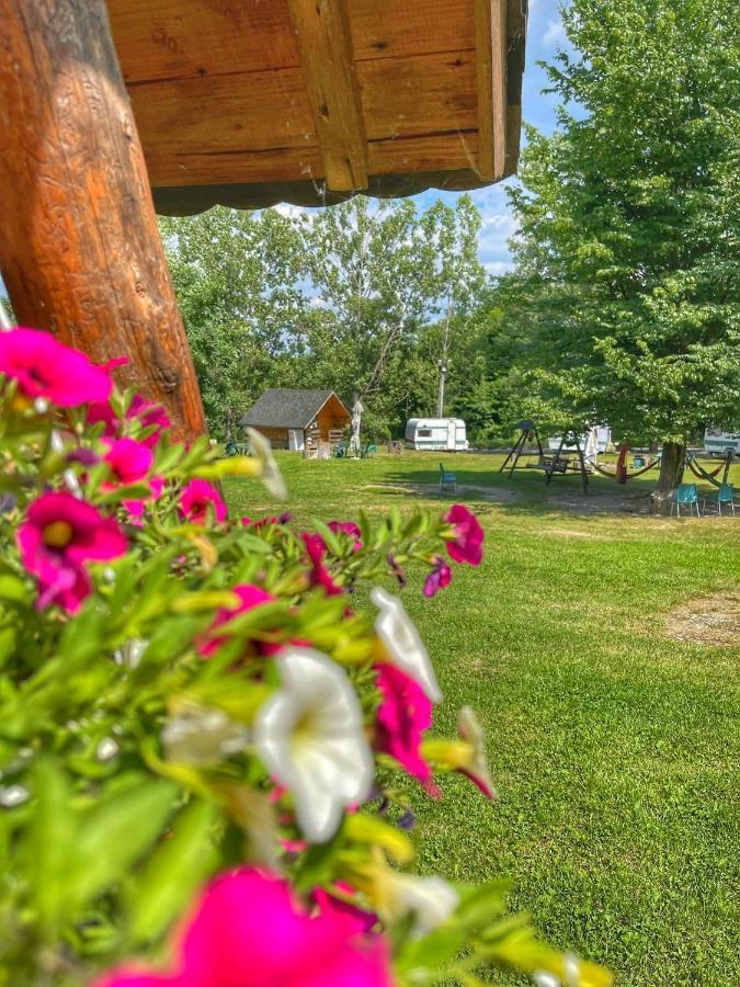 Camping Dragoske Ciofrîngeni Exteriér fotografie